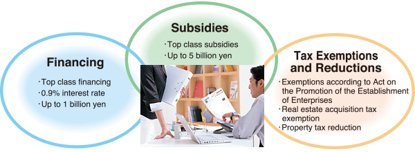 Financing Subsidies Tax Exemptions and Reductions