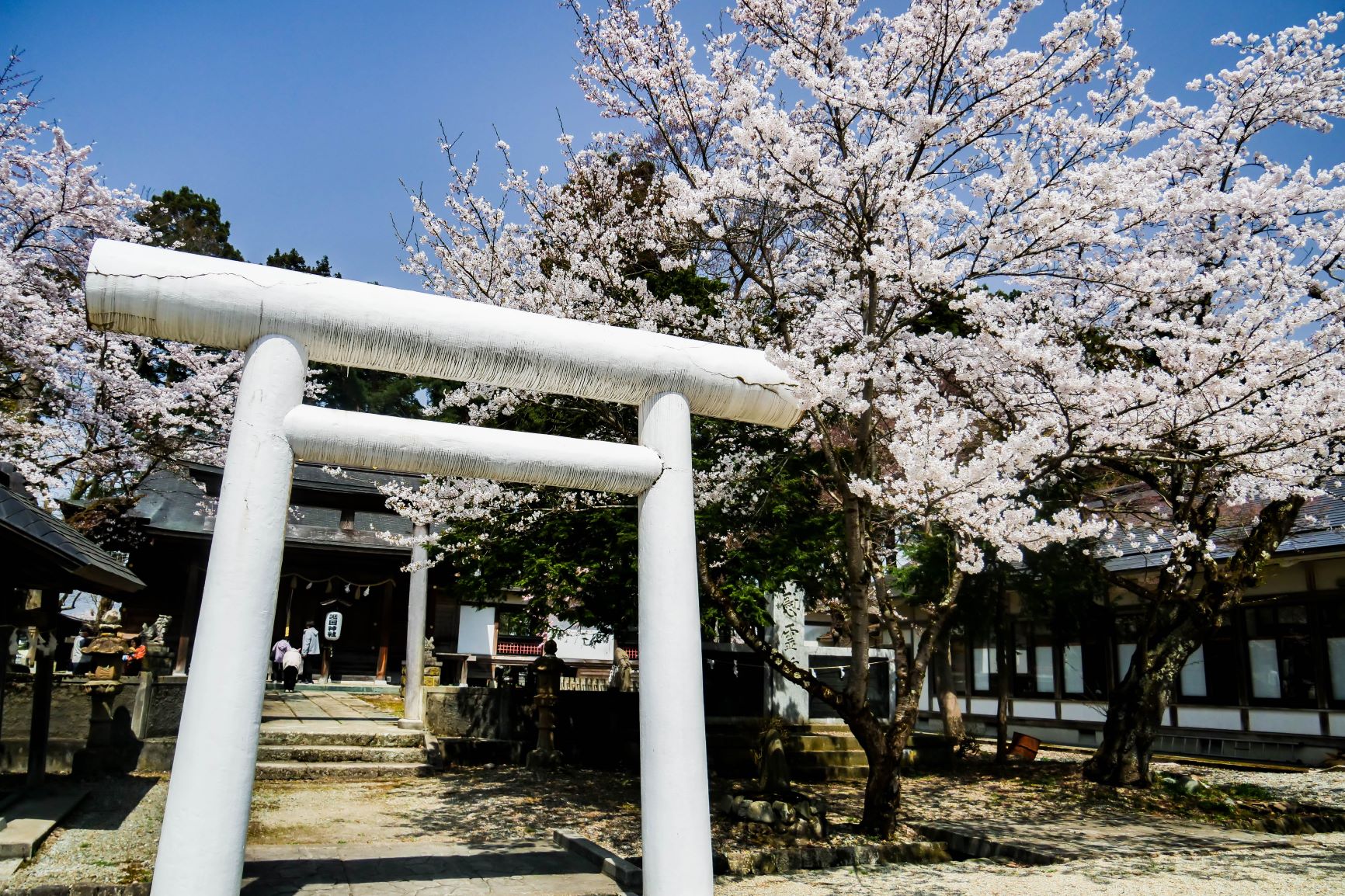 新庄城址(最上公園)