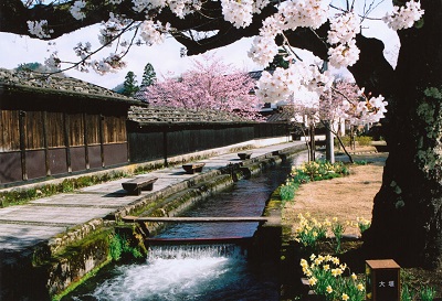 金山大堰