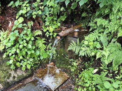 白鷹山・若返りの水（南陽市小滝）