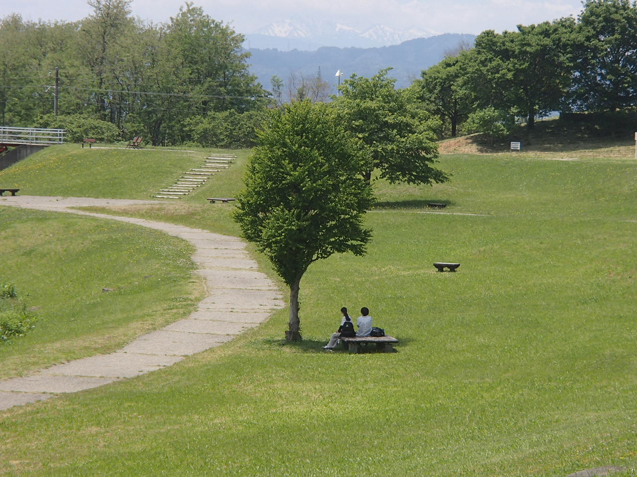 健康の森公園写真3