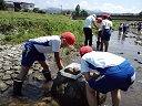 水生生物写真