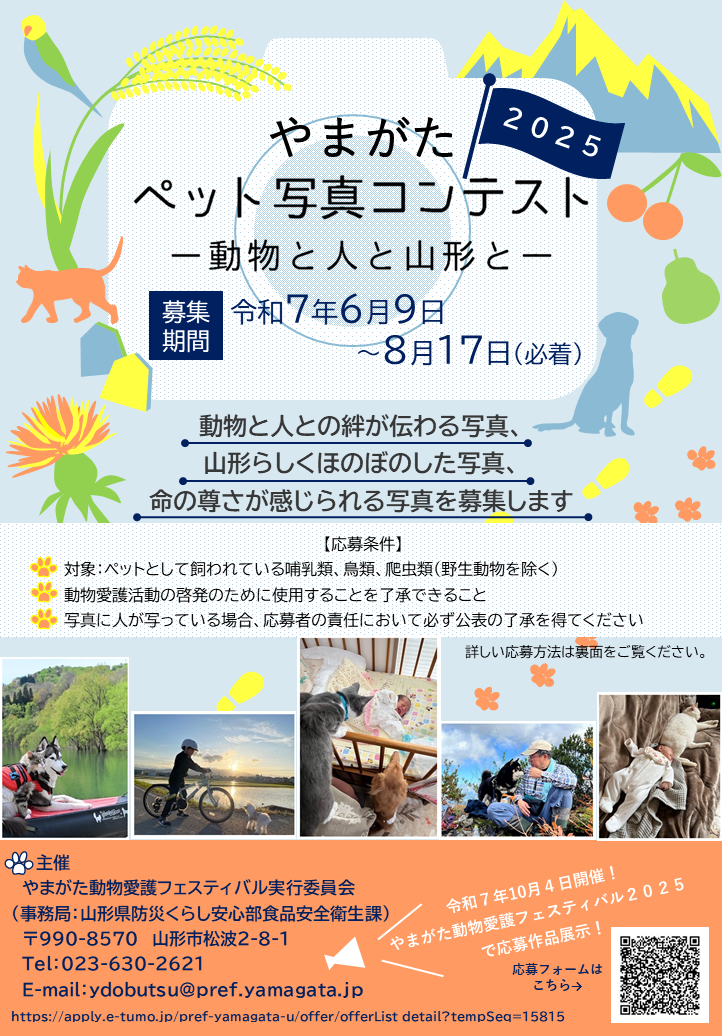 ペット写真チラシ