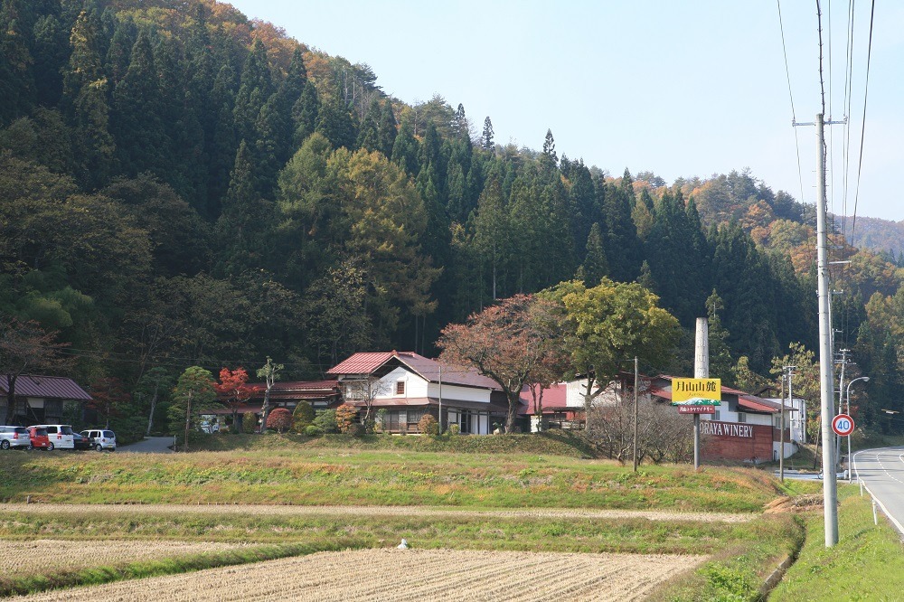 nishikawa