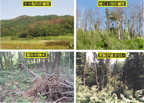 里山林の危機