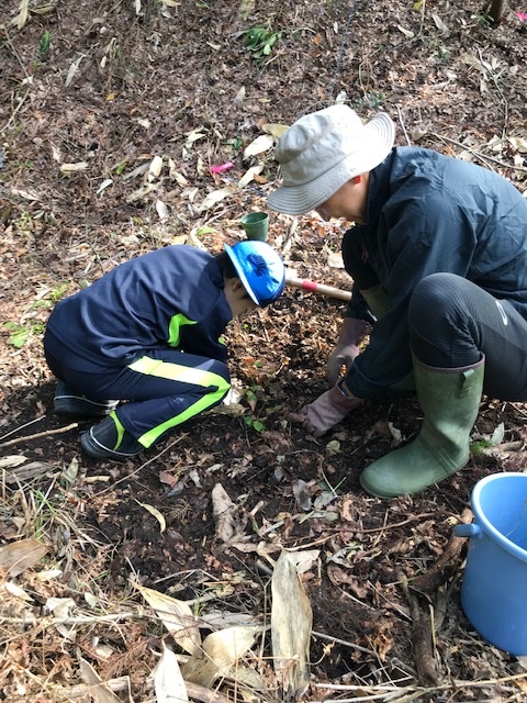 しんきん結の森で植樹をする様子