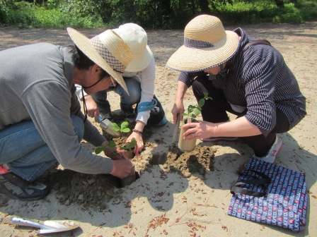 やまがた森の感謝祭2016で植樹をする様子