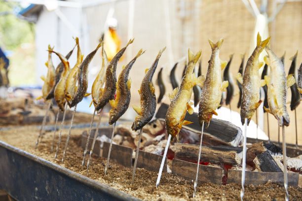 ふながた若鮎まつり