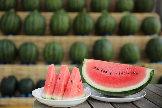 寒暖差で甘く、夏の風物詩「すいか」
