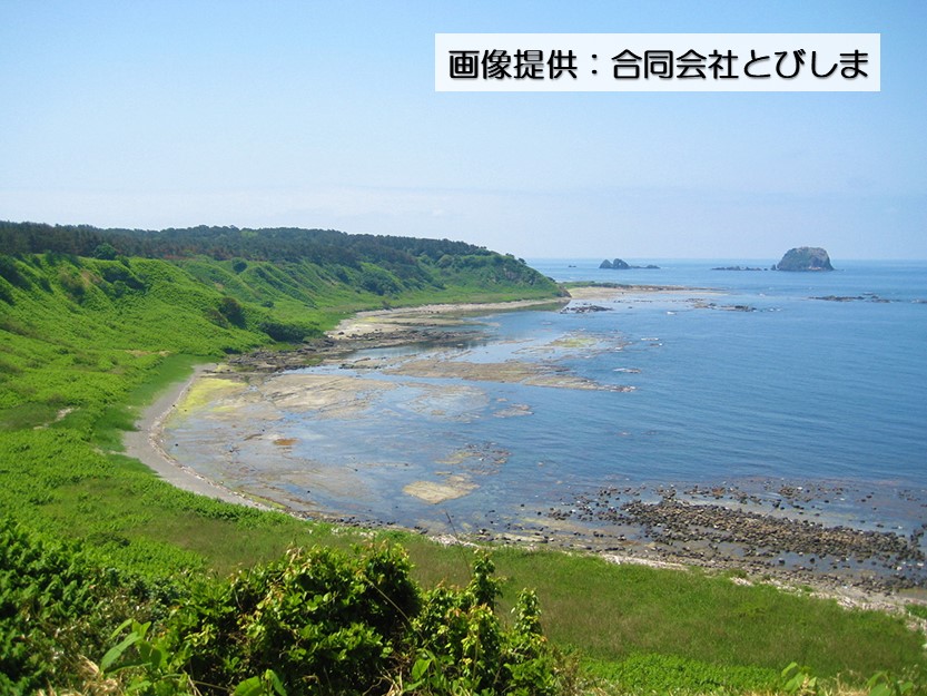 tobishima