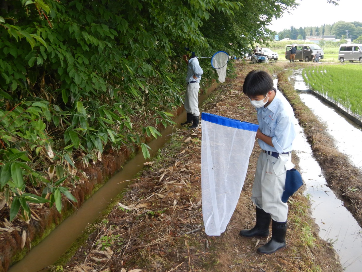 生き物調査1