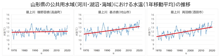 水温一年移動平均の推移（代表地点）
