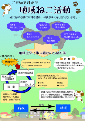 地域猫活動普及チラシ