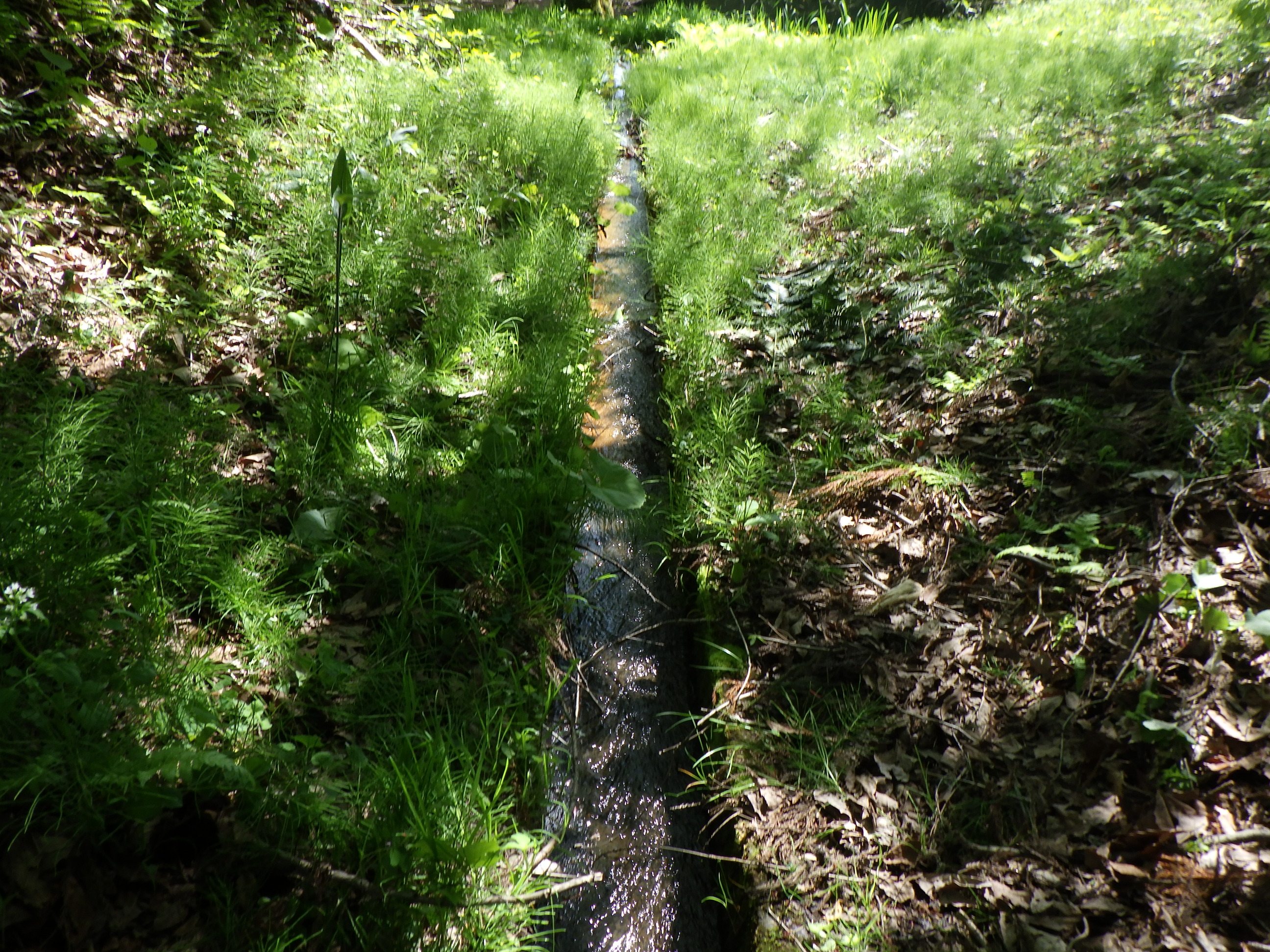 水路の通水確認