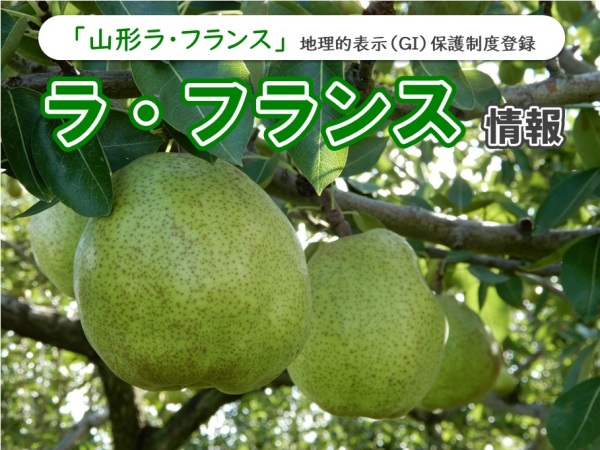 ラ・フランス情報