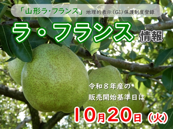 ラフランス情報