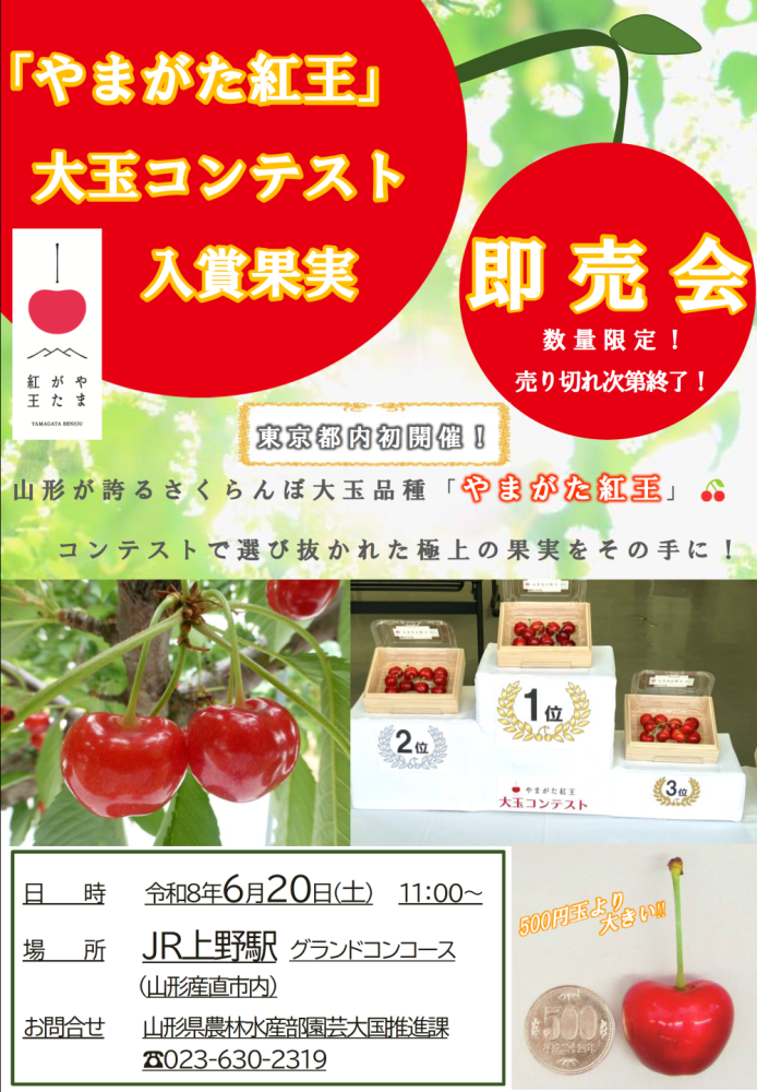 即売会チラシ
