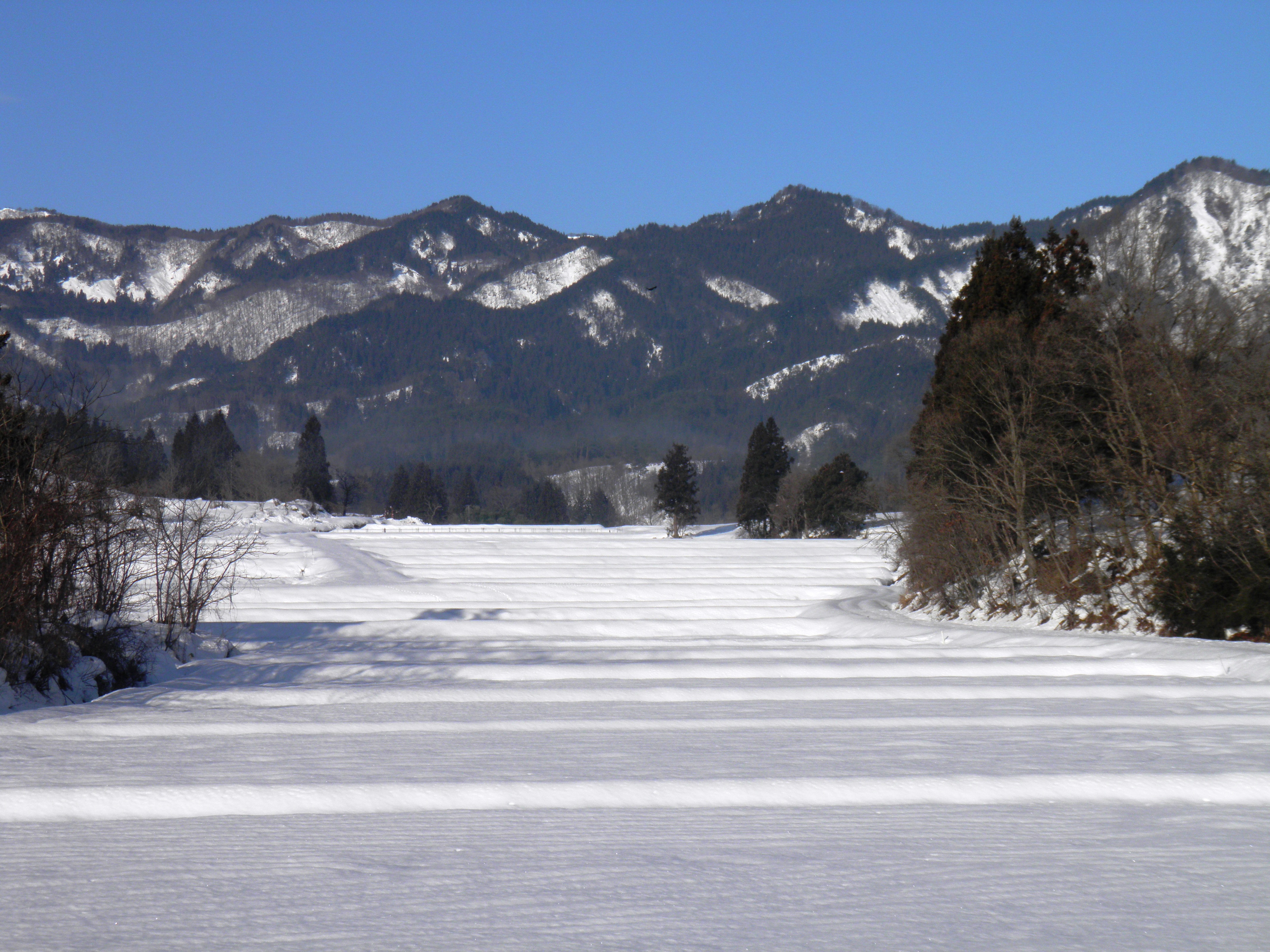 深山の棚田写真