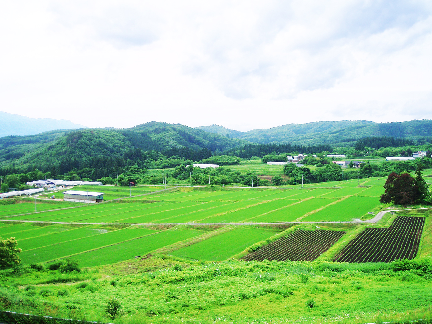 中山の棚田写真