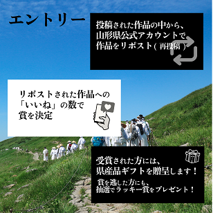 R7エントリー