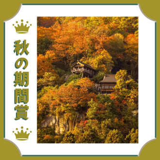 令和6年度秋の期間賞