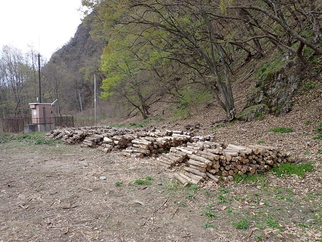 馬見ヶ崎川写真26