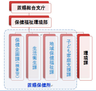 役割 保健所 の