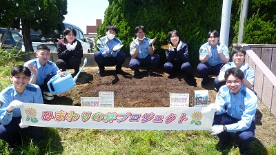 ひまわり3
