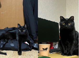 neko2