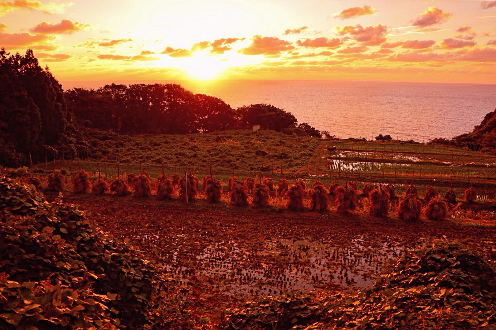 フォトジェニック賞2