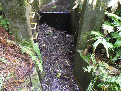 土砂撤去前の排水路
