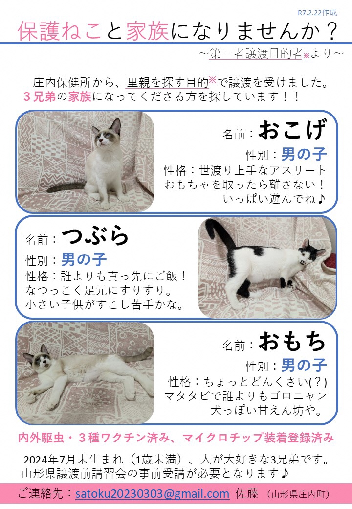 satok