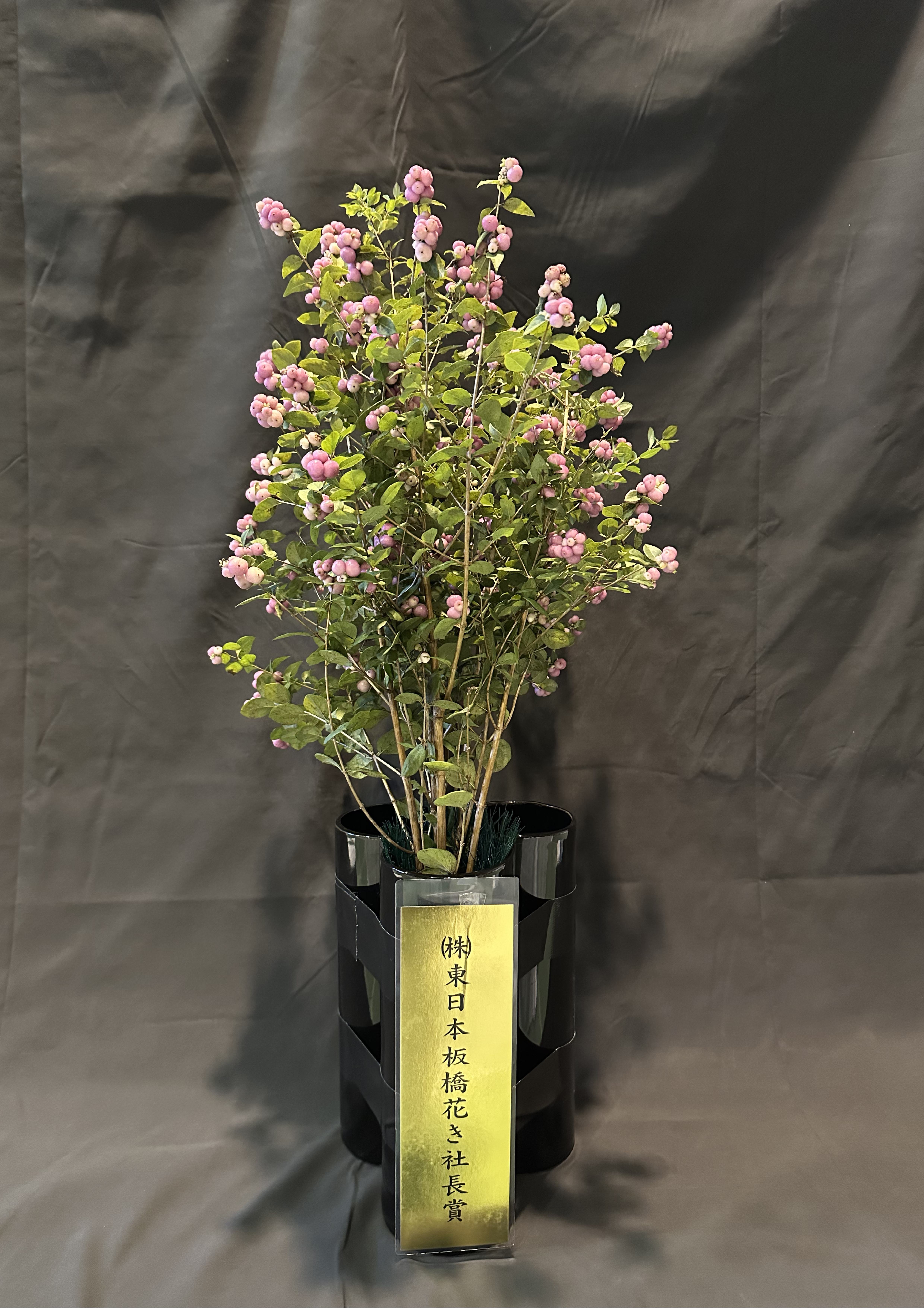 シンフォリカルボス