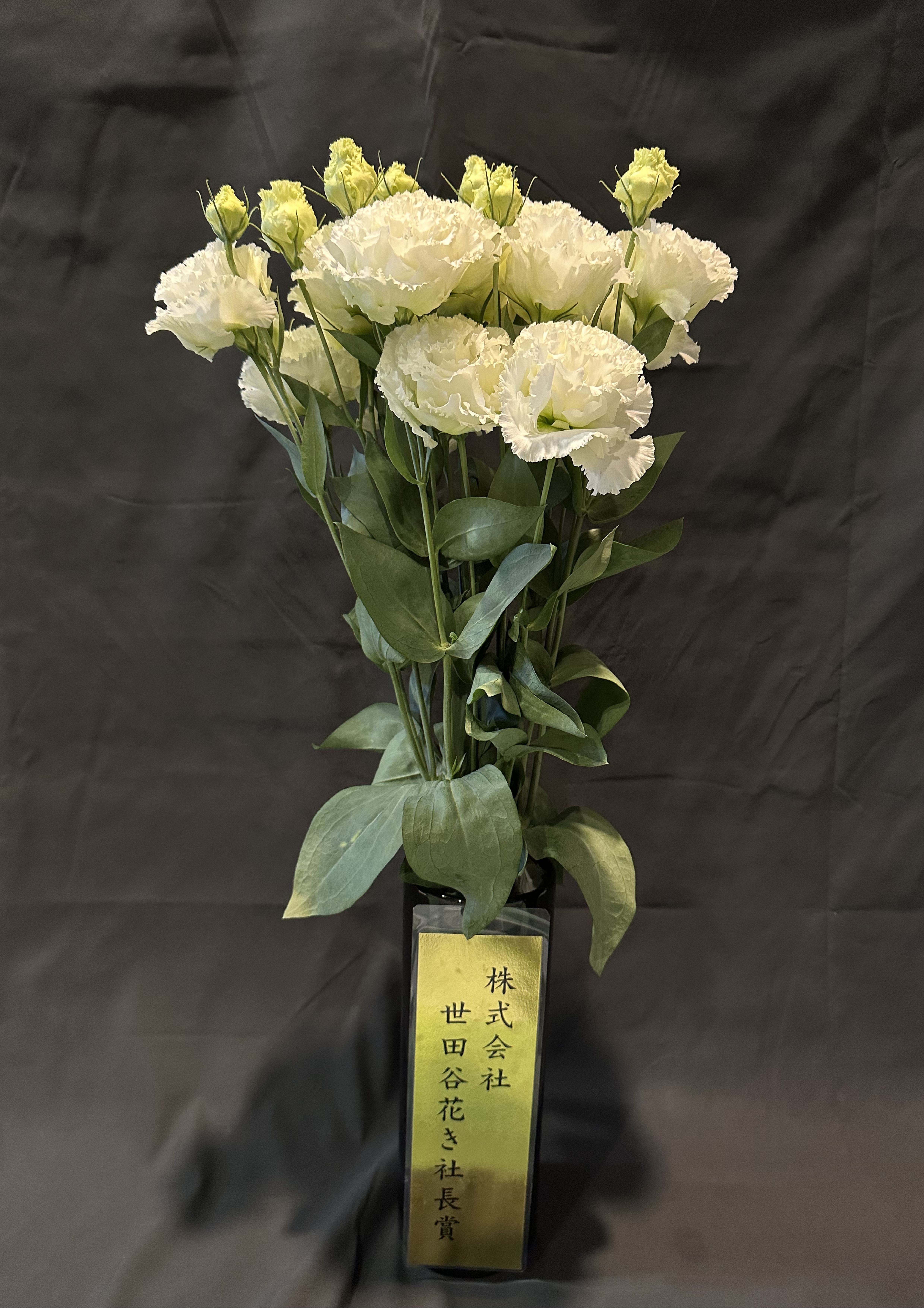 トルコぎきょう3