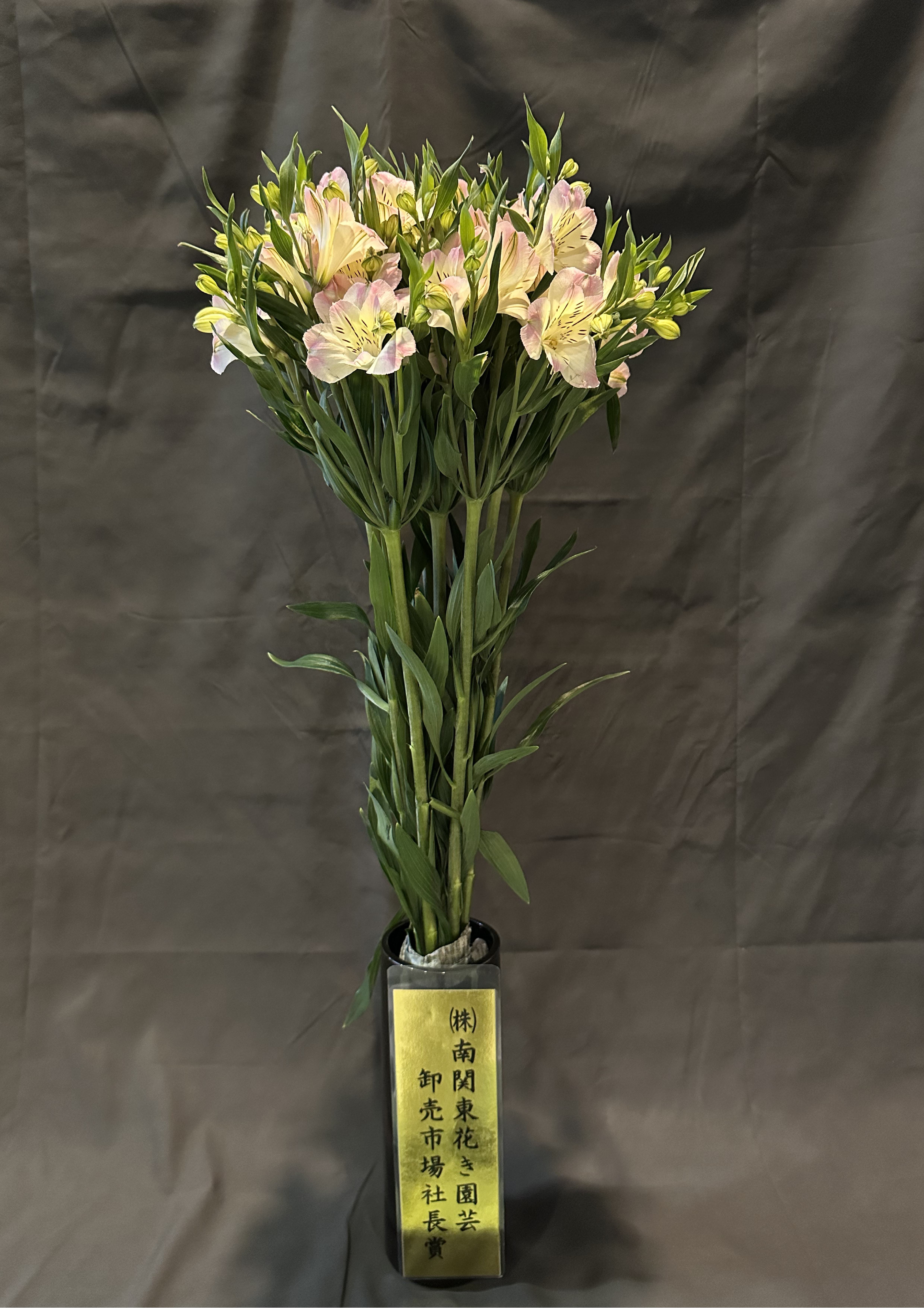 アルストロメリア