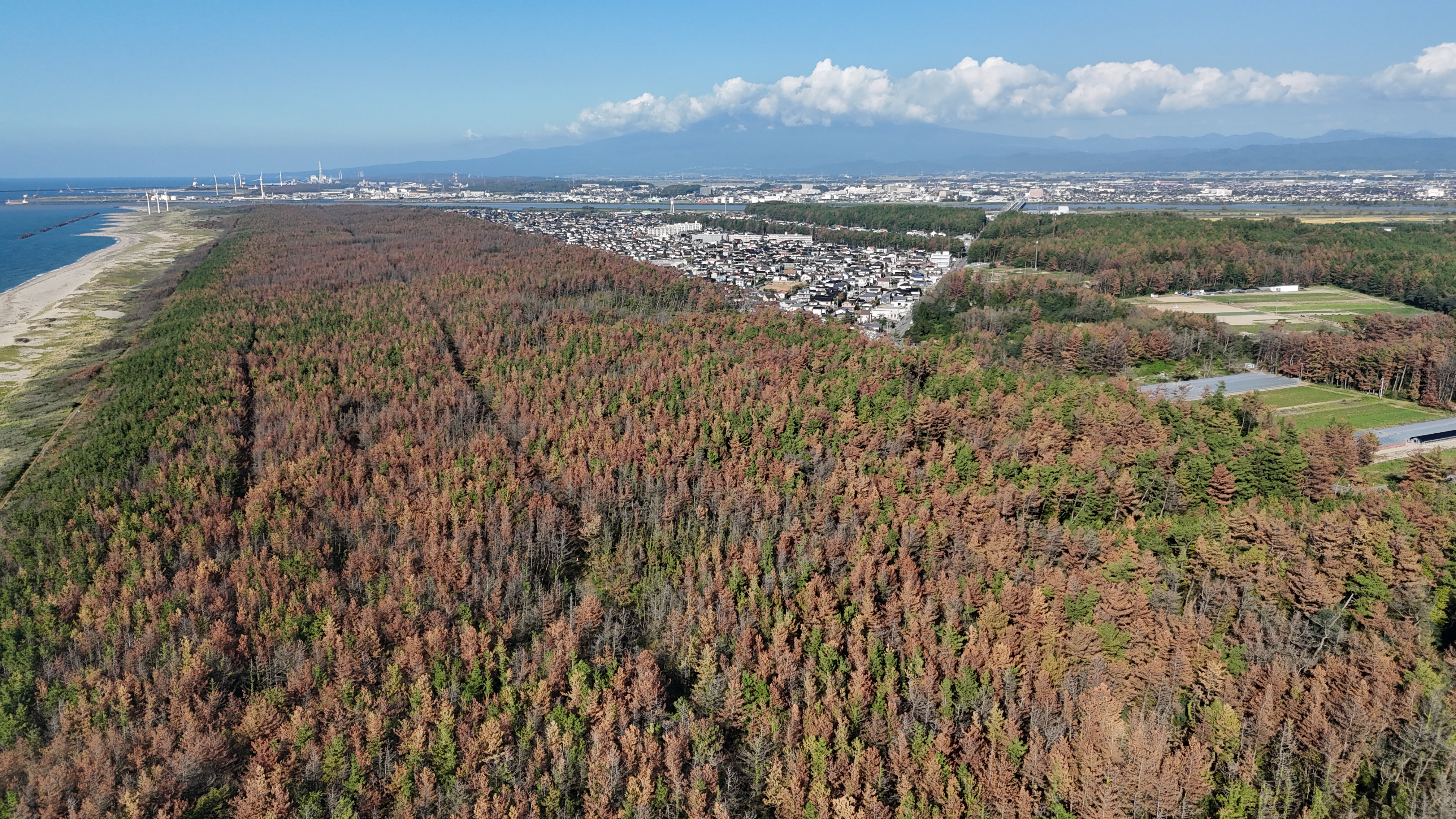 higai1
