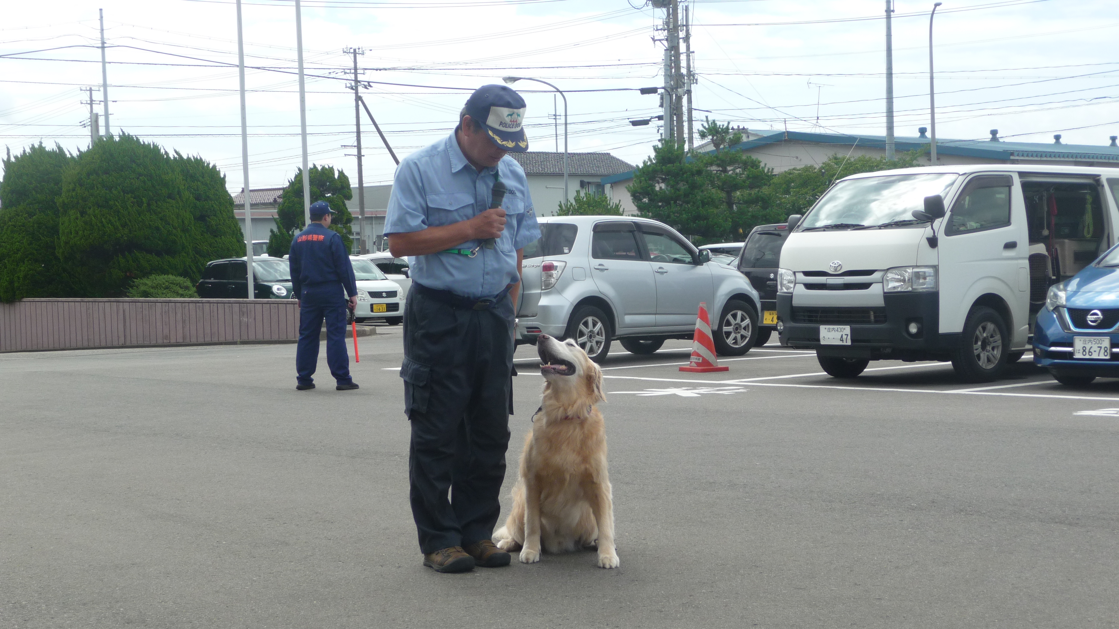 嘱託犬3