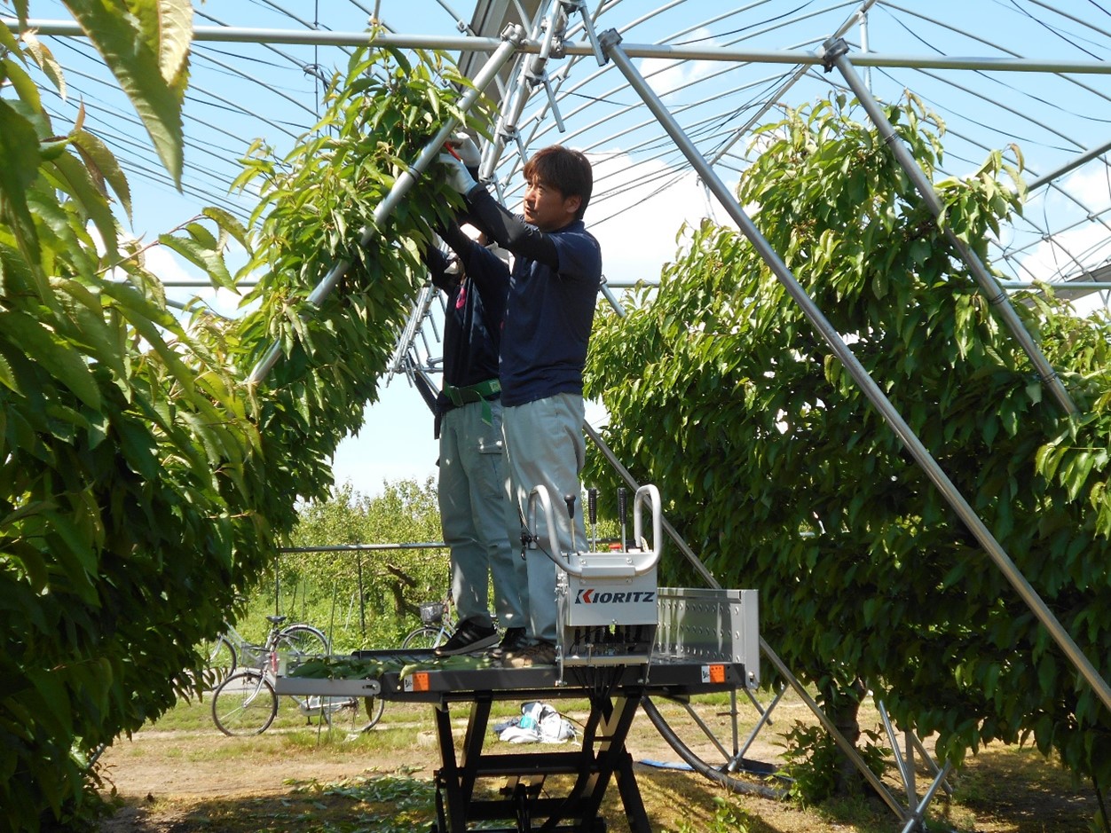 R7一般農業(農業)