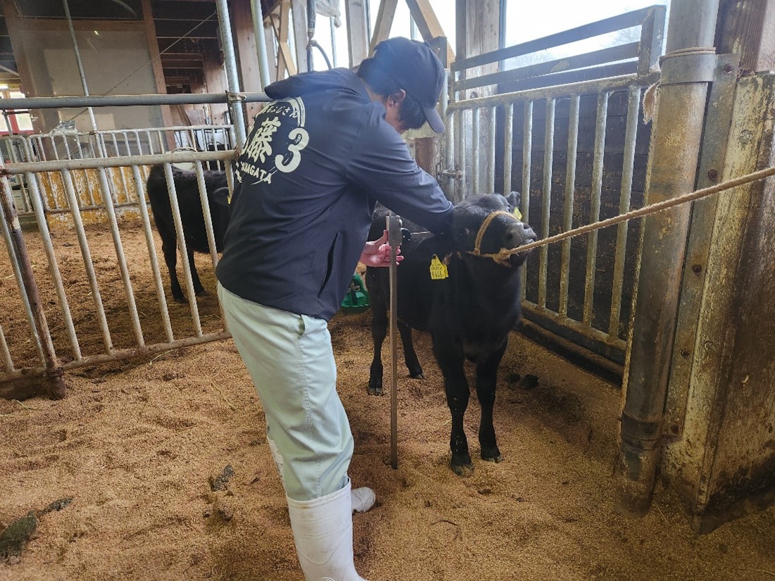 R7一般農業(畜産)