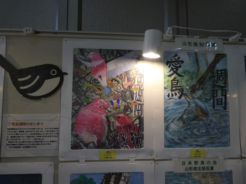 愛鳥2