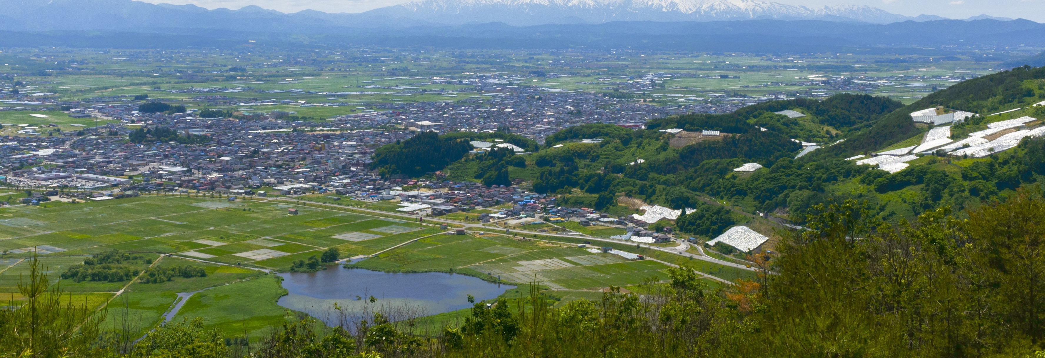 置賜県