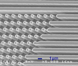 MEMS mold (RIE processing on Si wafer)