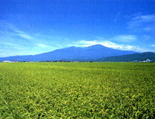 Mt. Chokai (Yuza Town)