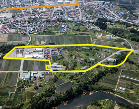 Aerial Photograph