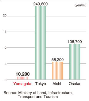 Inexpensive Industrial Land (2012)